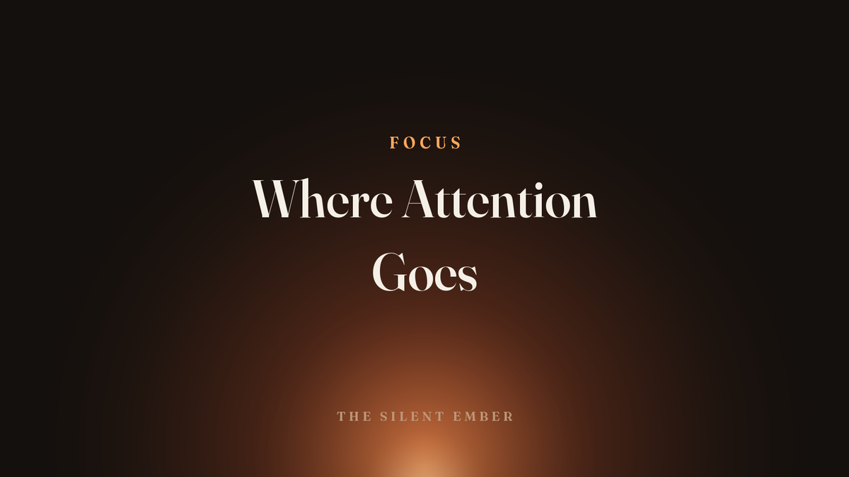 Where Attention Goes — The Silent Ember