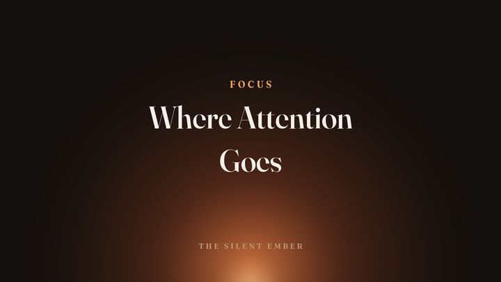 Where Attention Goes — The Silent Ember